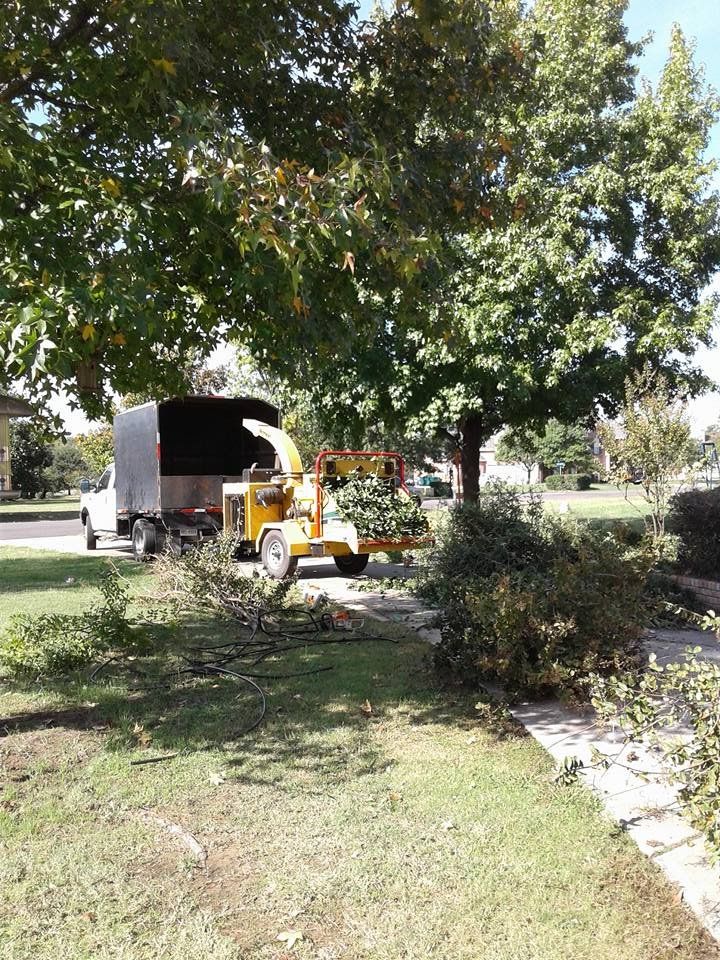 Family Tree Service project photo