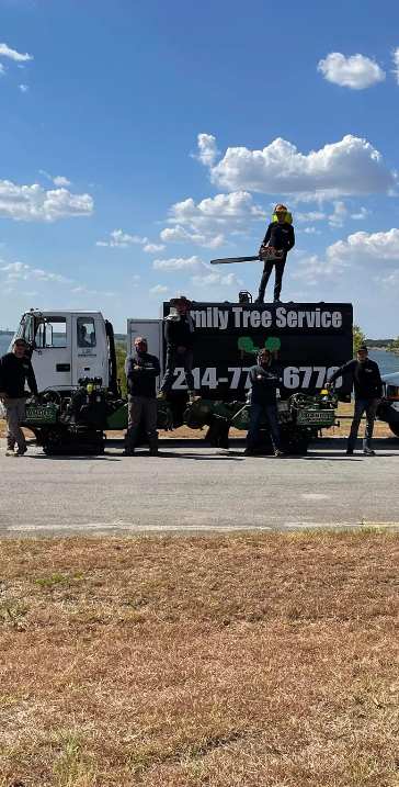 Family Tree Service project photo