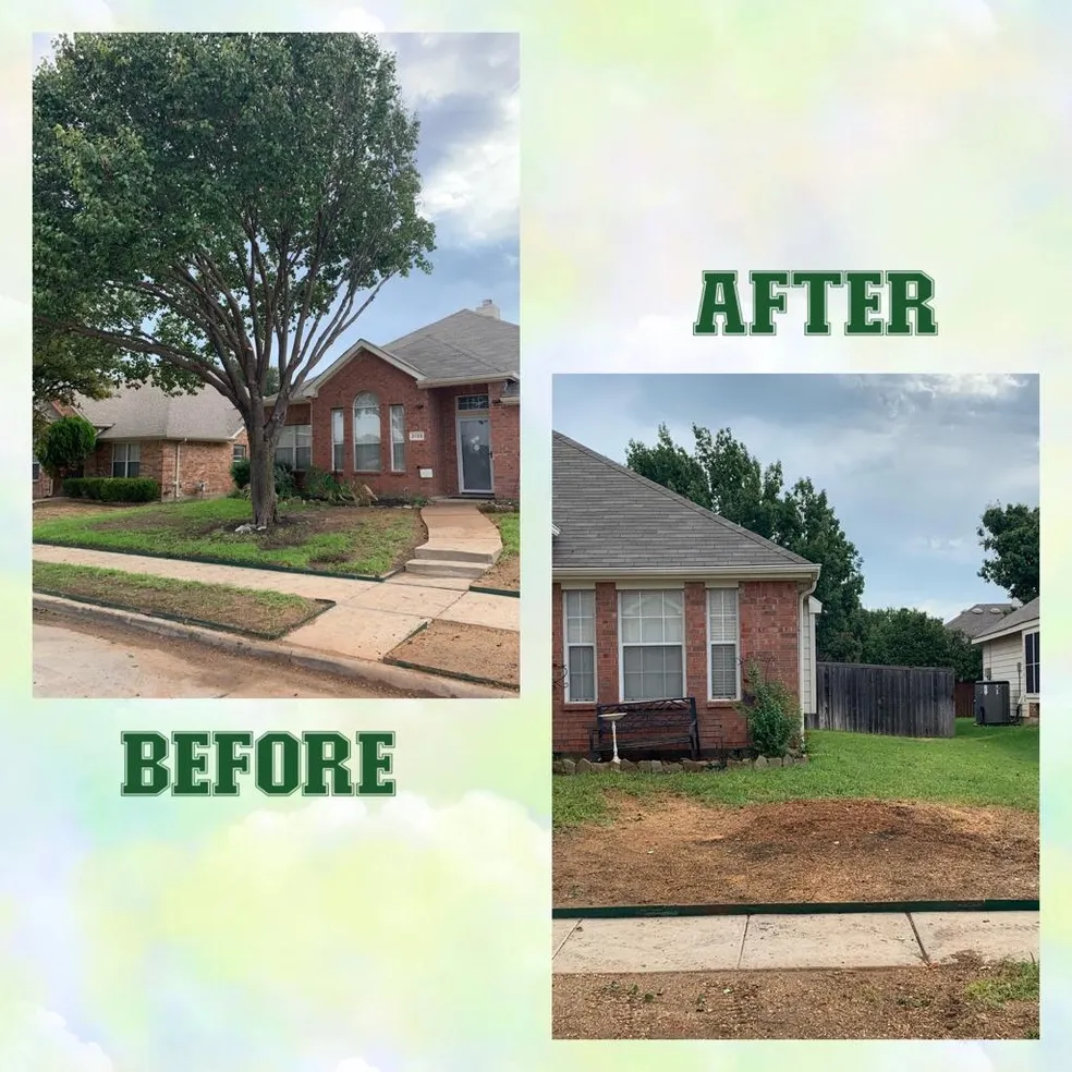 Family Tree Service project photo