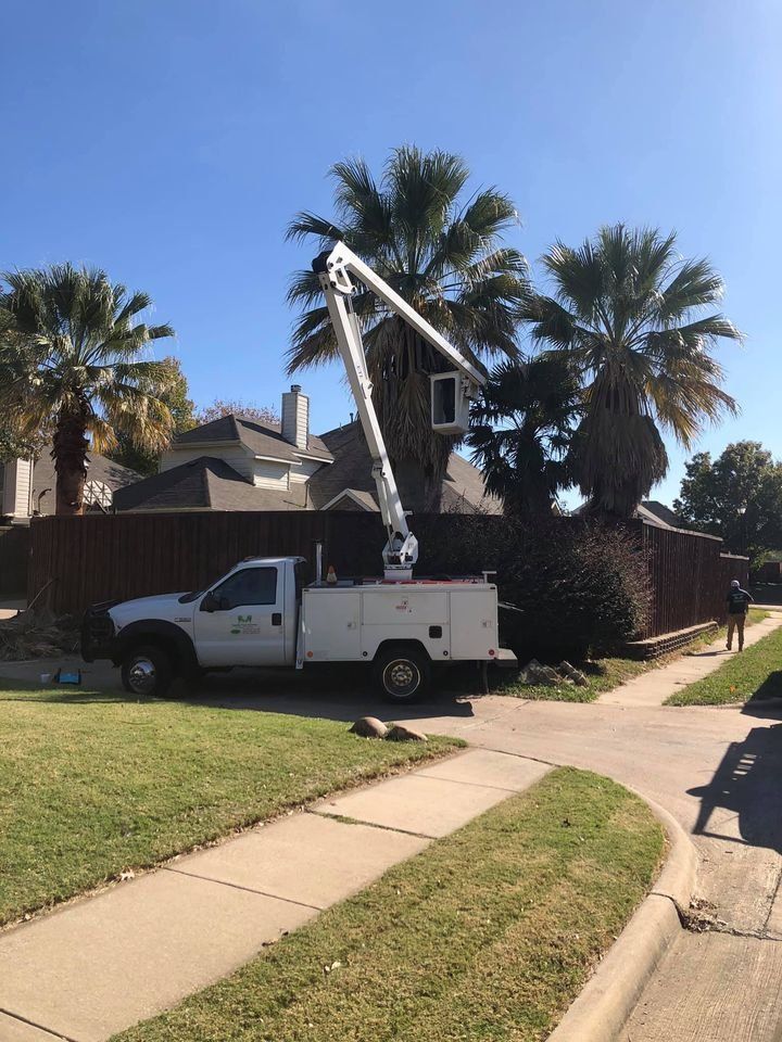 Family Tree Service project photo