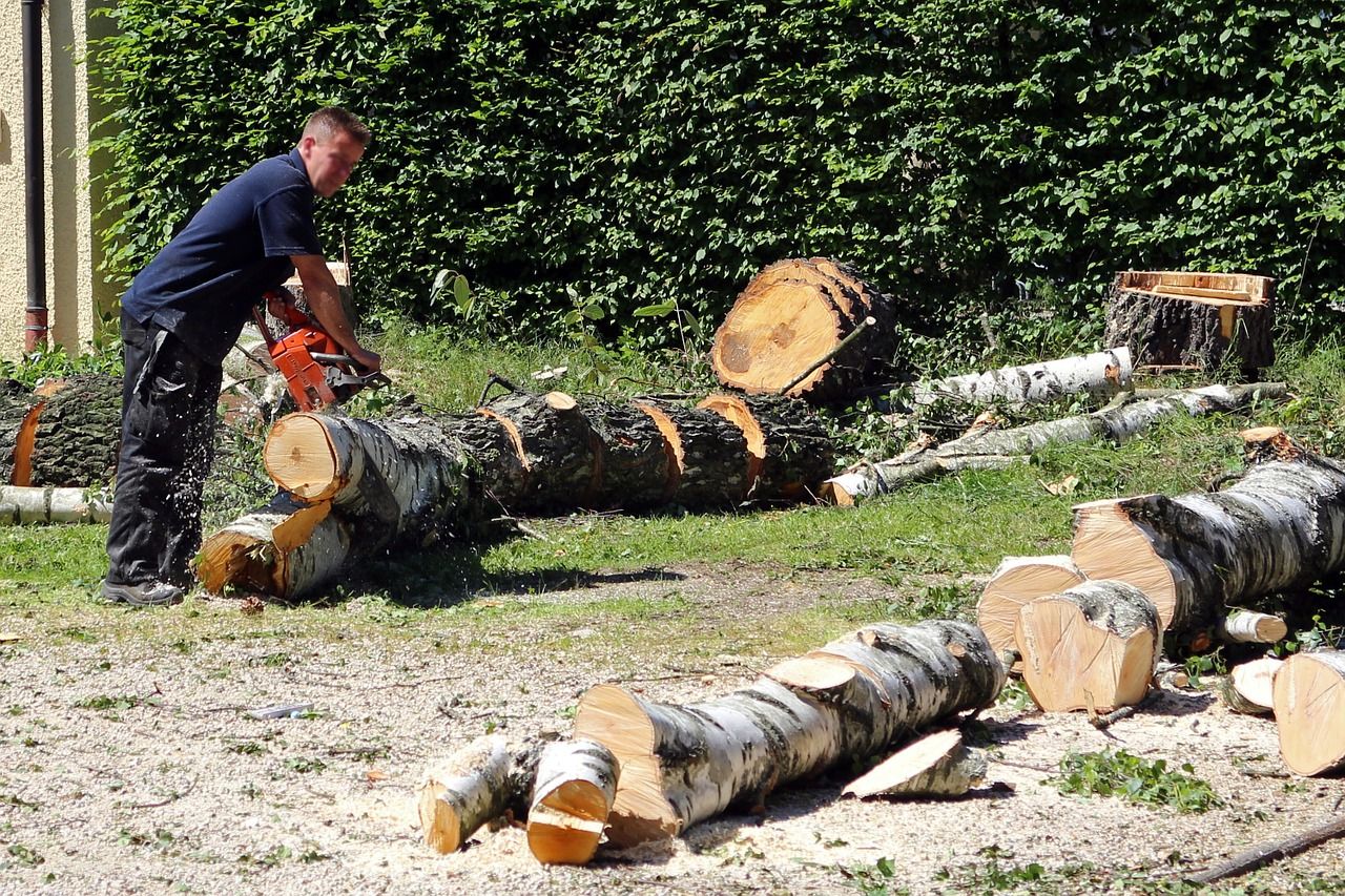Tree Cutting | Family Tree Service