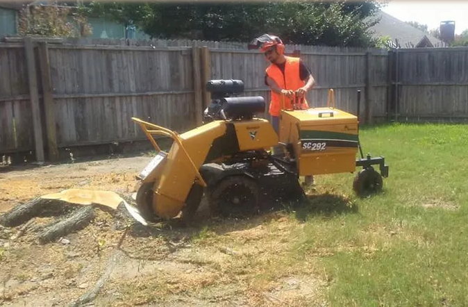 Stump Grinding | Family Tree Service
